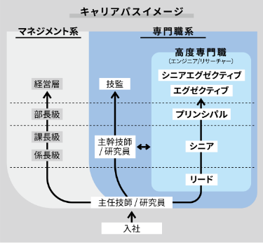 キャリアパスイメージ