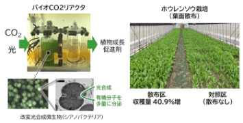 空気中CO2の回収・活用と農産物生産力向上を同時に実現