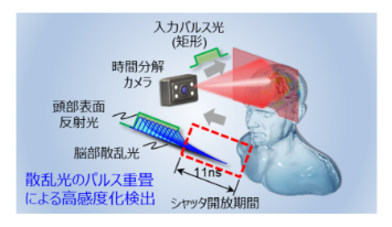 カメラによる脳部散乱光の検出原理